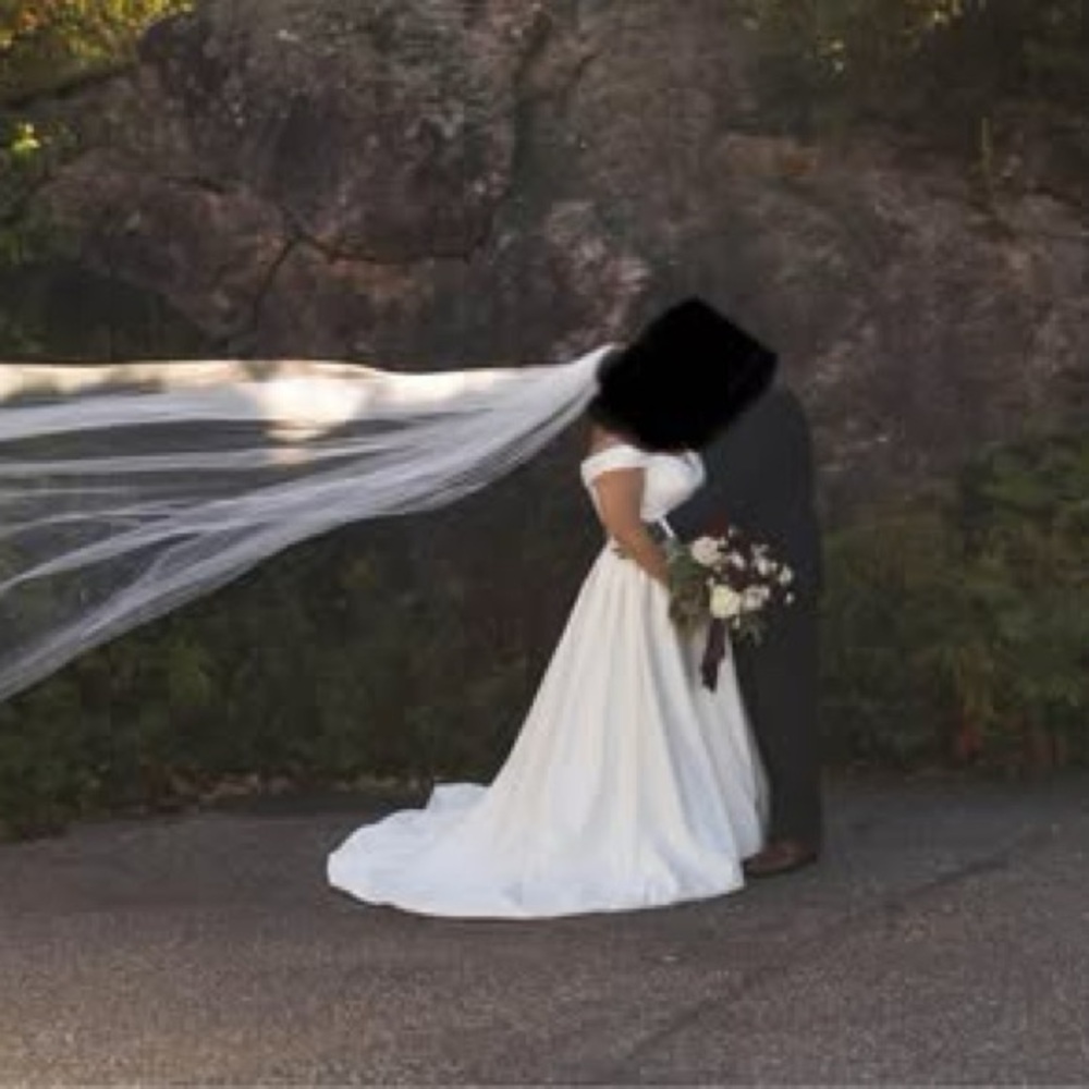 Elegant Ivory Cathedral Length Veil
